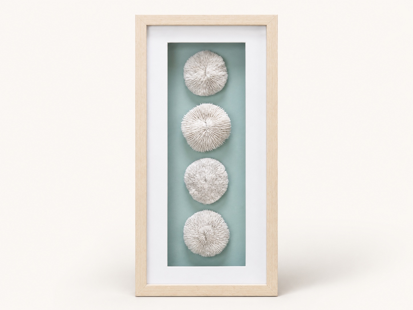 Coastal Shadow Box image 1