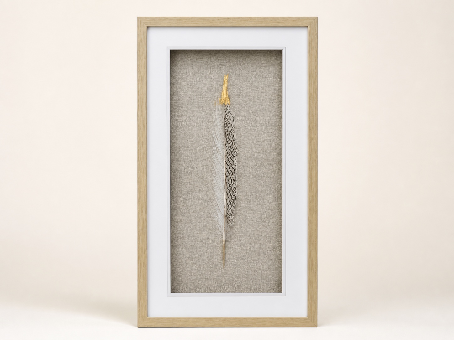 Feather Shadow Box image 1