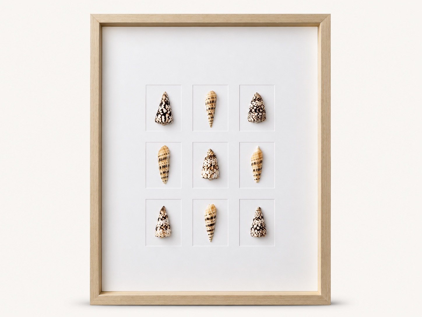 Coastal Shadow Box image 1