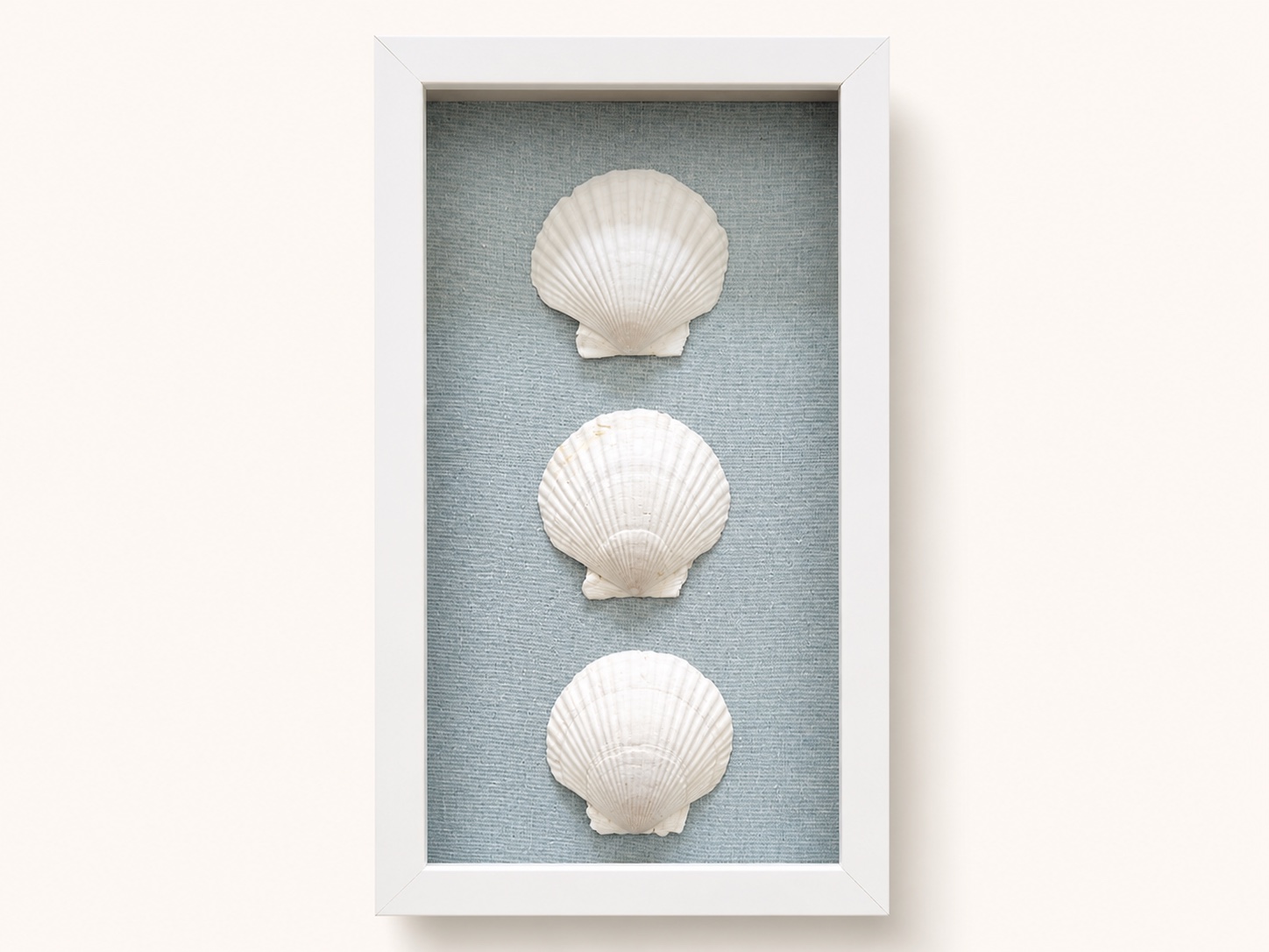 Coastal Shadow Box image 1