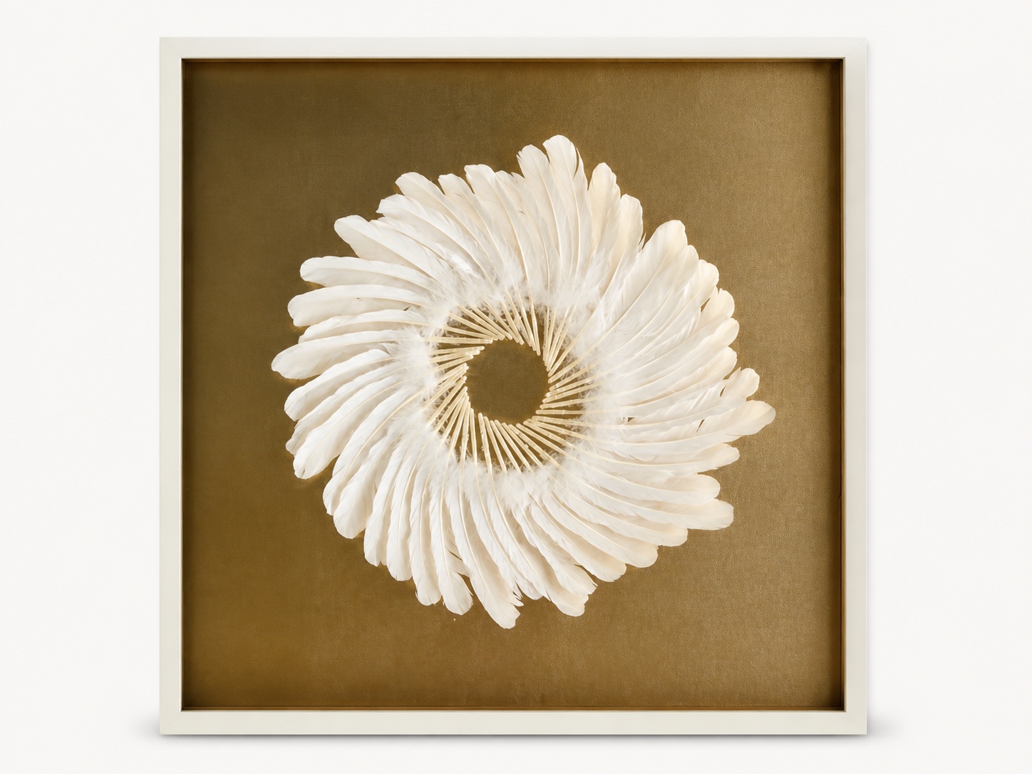 Feather Shadow Box image 1