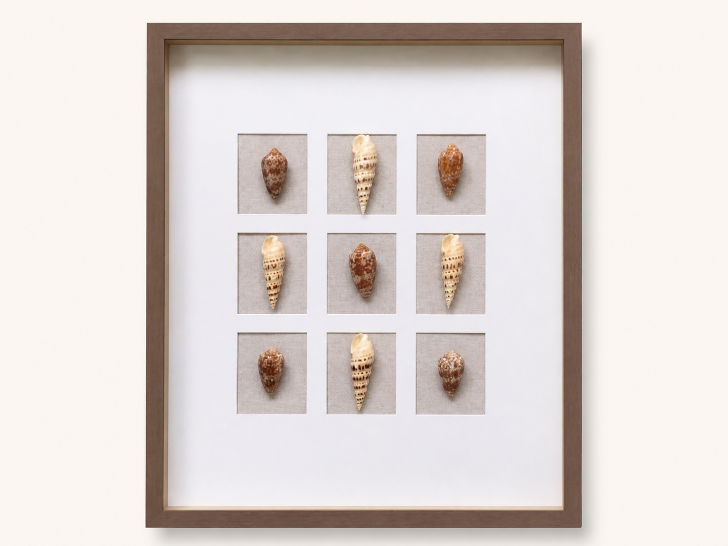 Coastal Shadow Box image 1