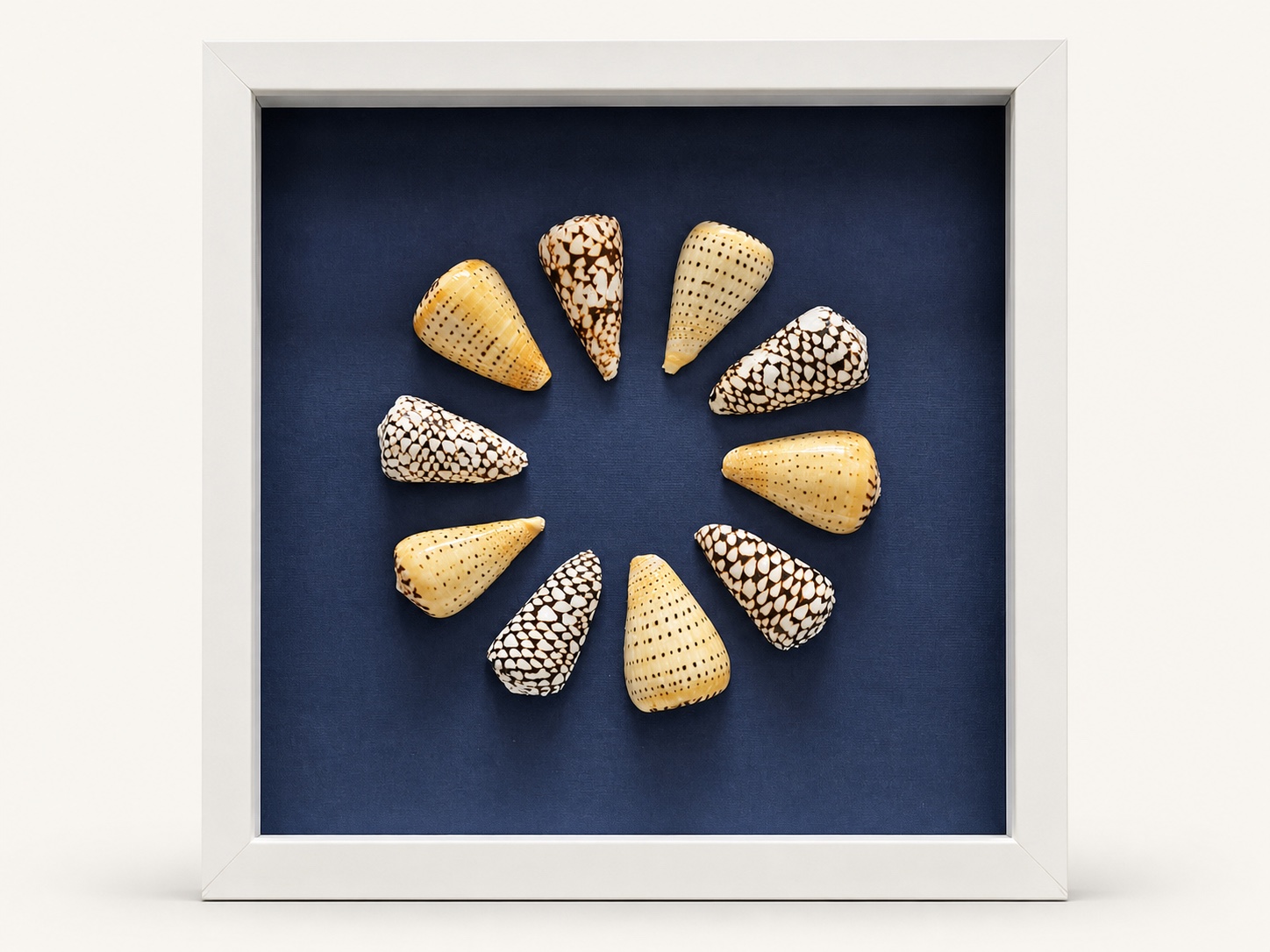 Coastal Shadow Box image 1