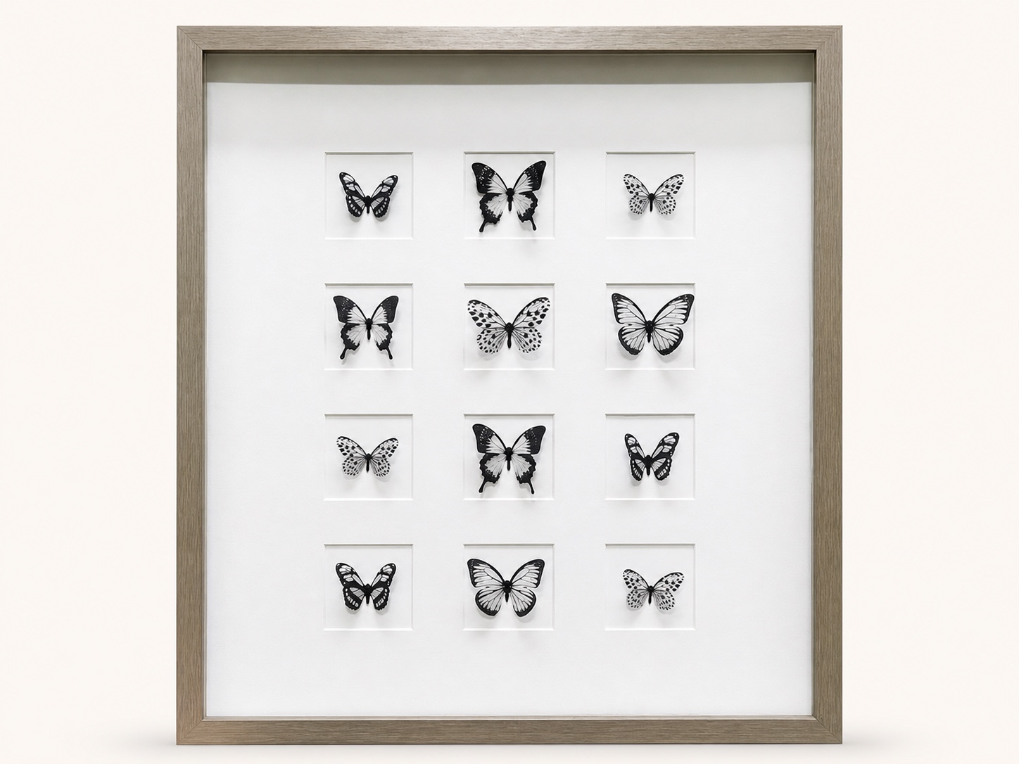 Butterfly Shadow Box image 1