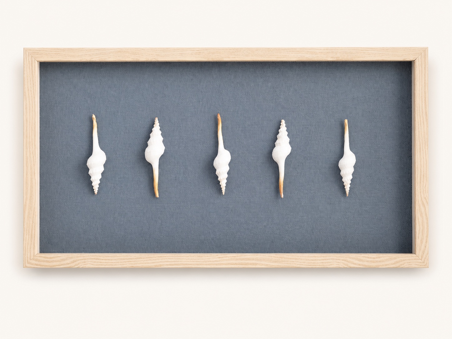 Coastal Shadow Box image 1